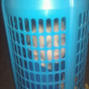 Meet your Posher, Elliott